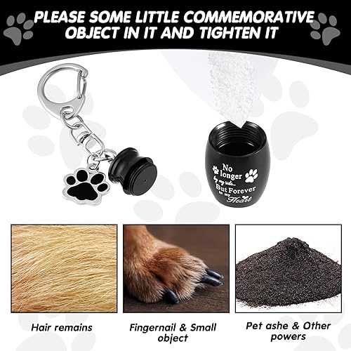 Miniatura 4 de Sasylvia Llavero de urna para mascotas, llavero para cenizas de mascotas, joyería de cremación de recuerdo de perros, joyería de acero inoxidable,