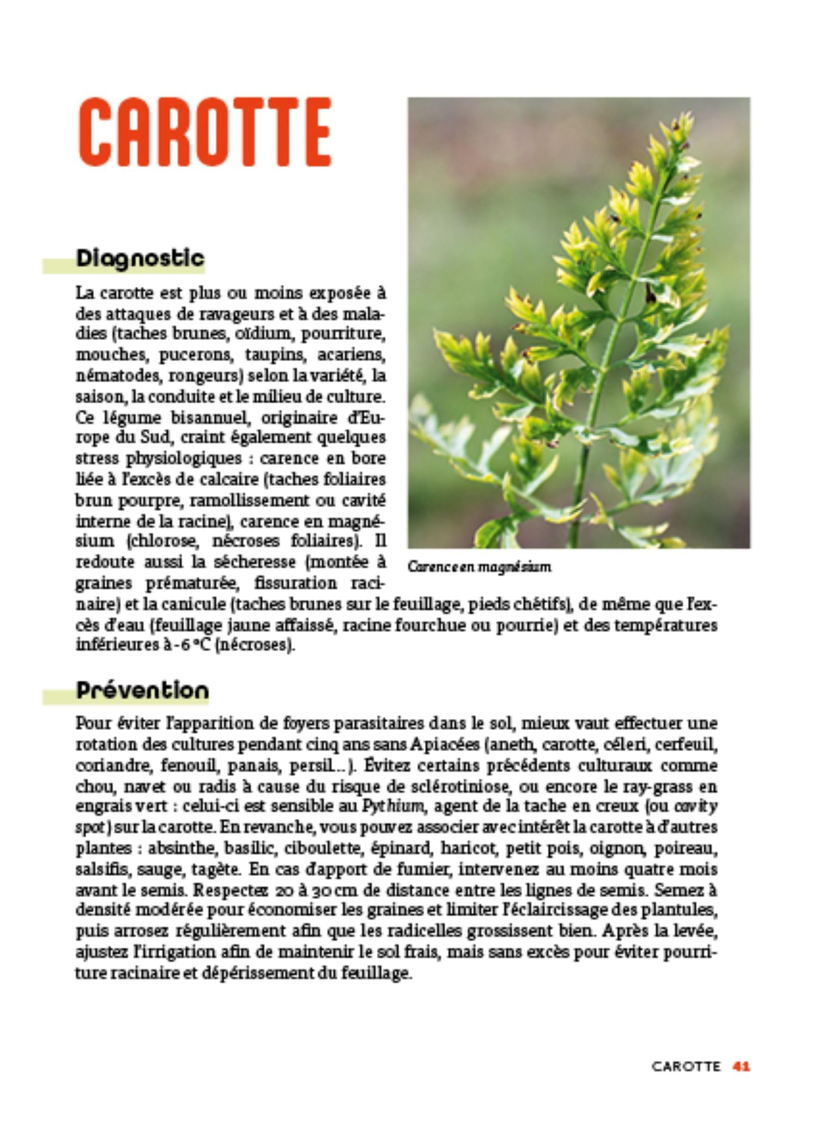 Panique au potager: Maladies et ravageurs - 45 légumes, petits fruits et aromatiques à protéger