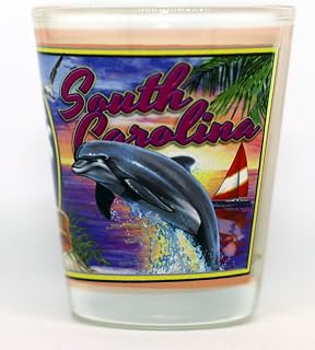 South Carolina State Mural Shot Glass jks