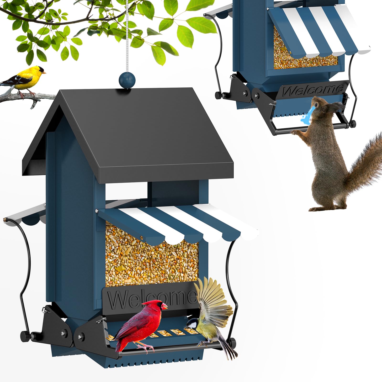 ScinDa Feeder
