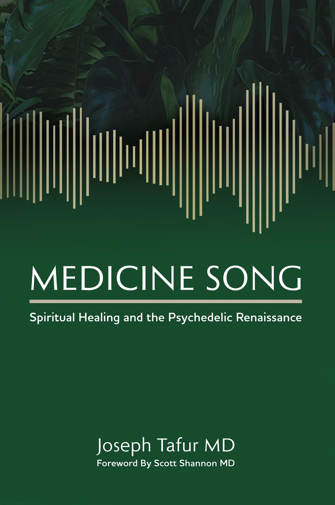 Medicine Song: Spiritual Healing and the Psychedelic Renaissance