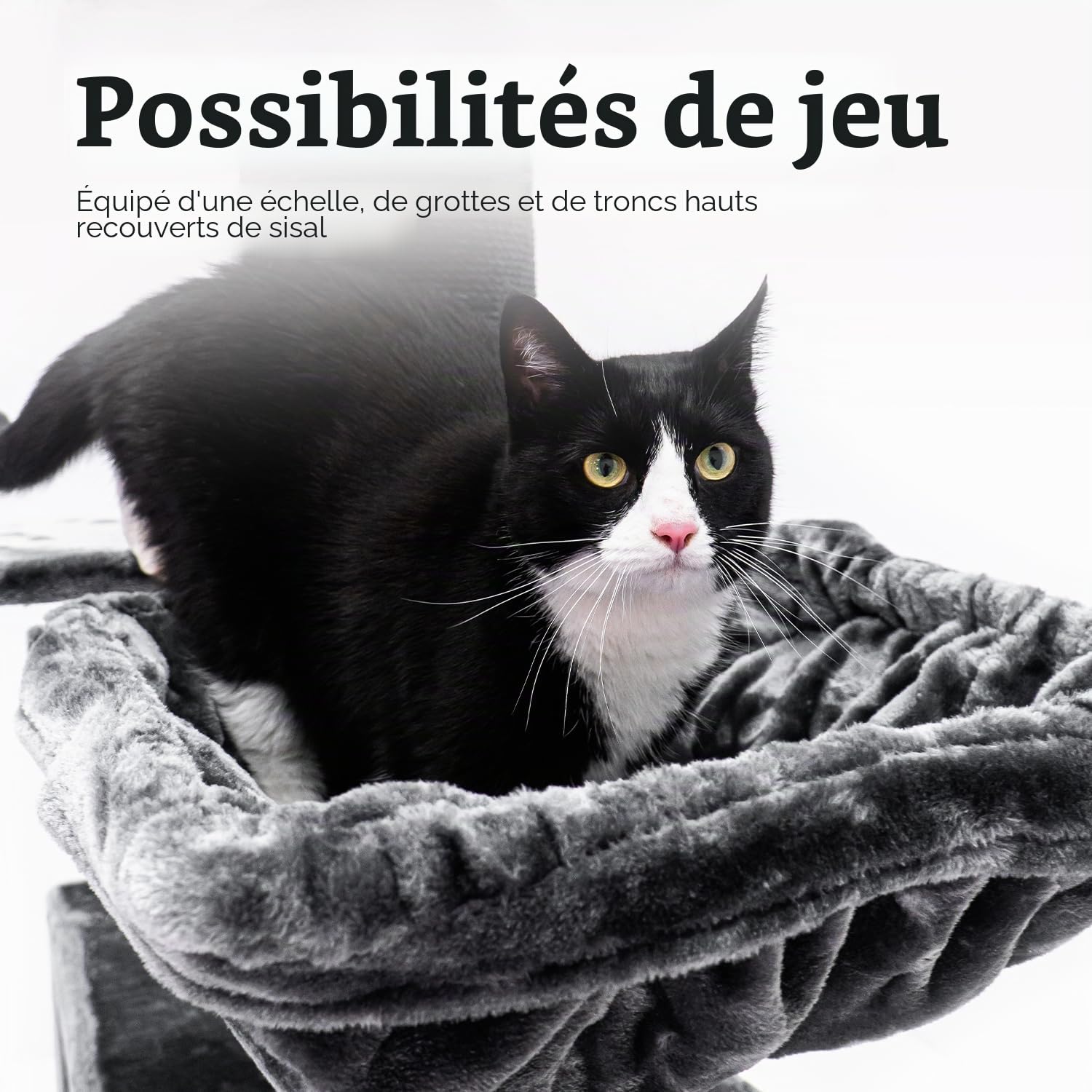 Petrebels Maine Coon Arbre à chat XXL de 2 mètres de haut, arbre à chat pour grands chats, extra stable pour plusieurs chats, 2 hamacs, 2 grottes pour chat, Sibérie 200, arbre d'escalade épais de 20