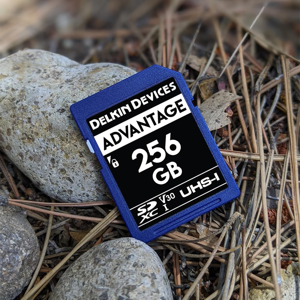 Amazon.com: Delkin Devices 256GB Advantage SDXC Memory Card UHS-I