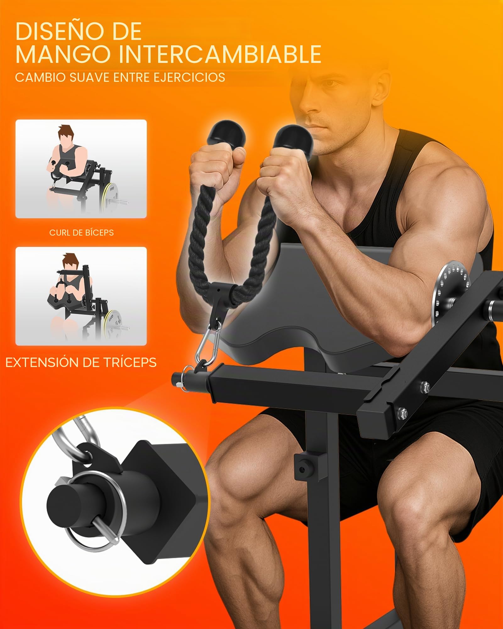 HVO Banco de Bíceps y Tríceps: Banco Ajustable 2-en-1 para Curl de Bíceps y Extensiones de Tríceps Sentado – Banco de Musculación para Entrenamiento de Brazos en Casa, Negro