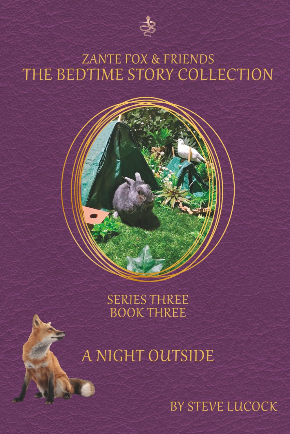 A Night Outside (The Bedtime Story Collection - Series 3)