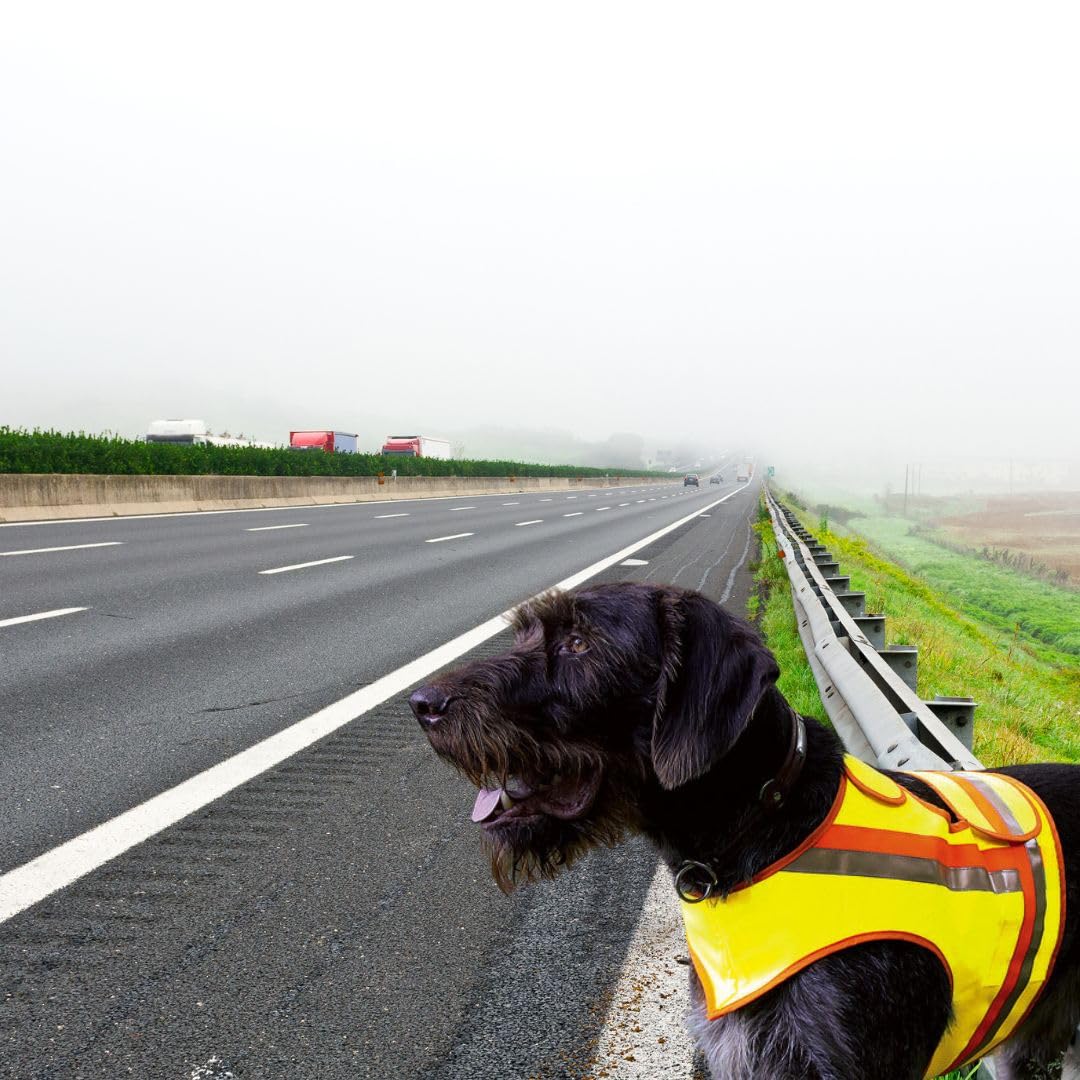 Gilet de sécurité réfléchissant pour chien pour la chasse à la force, la chasse à la levée, la circulation routière et les promenades dans l'obscurité en jaune orange avec bandes réfléchissantes (XL)