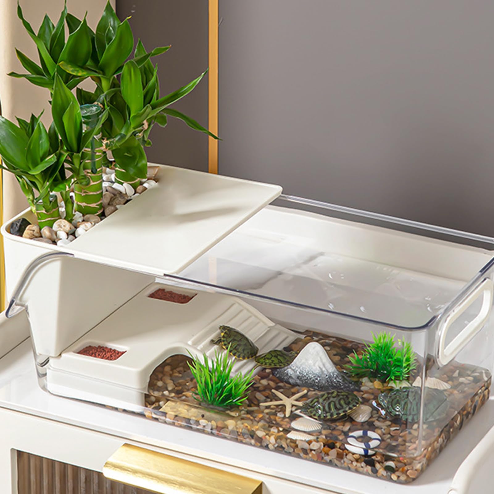 Serbatoio per tartarughe d'acqua, acquario per rettili, habitat trasparente con palcoscenico per gamberi, granchi, gechi, anfibi, pesci, piccoli animali domestici