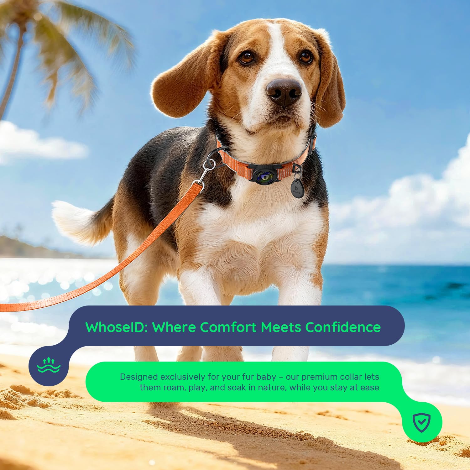 Premium AirTag Hundehalsband, wasserdicht, mittelgroß, magnetische Schnalle, strapazierfähiges Halsband, reflektierendes Hundehalsband mit AirTag-Halter