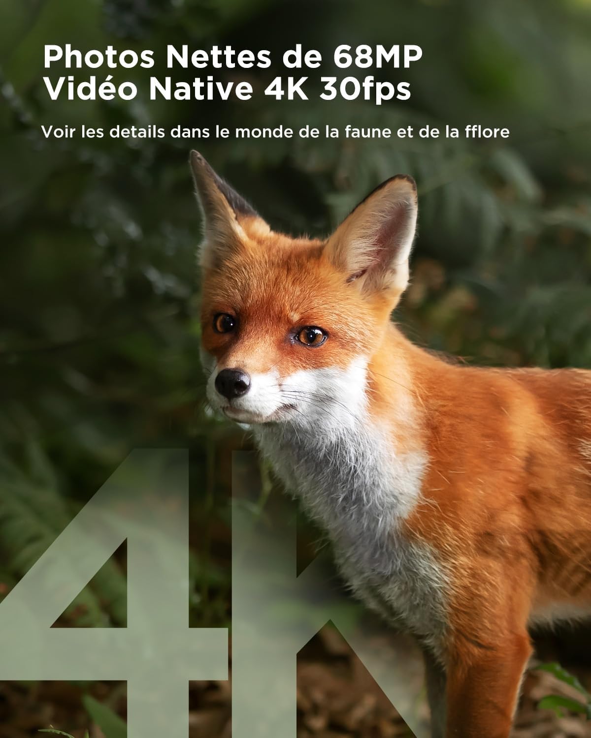 CEYOMUR Caméra de Chasse Solaire 4K 68MP 30fps, WiFi Camera de Chasse | 5200mAh Batterie Rechargeable, Carte Micro SD U3 32GB, Vision Nocturne HD, 0,1 Activée par Mouvement IP66 Étanche