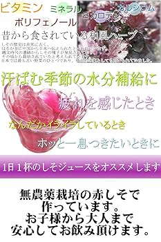 Amazon.co.jp: 赤しそジュース 無農薬栽培 1本1000ml そのまま