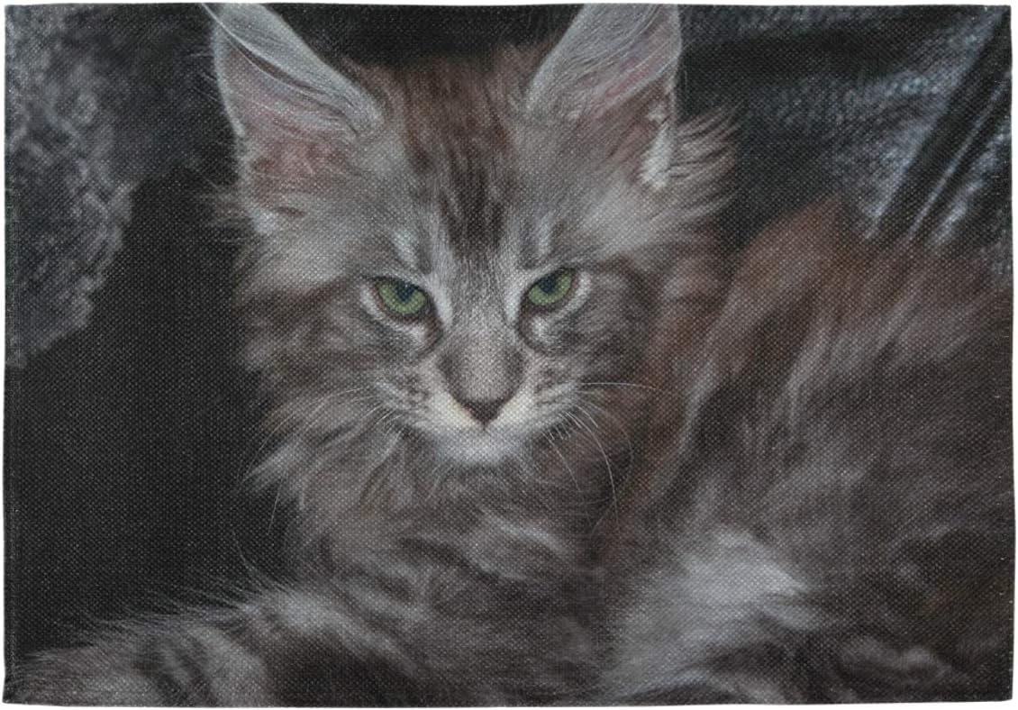 Oarencol Set De Table 3d Gris Maine Coon Motif Chaton Mignon Chat Animal Resistants A La Chaleur Lavables Pour Decoration De Table De Salle A Manger