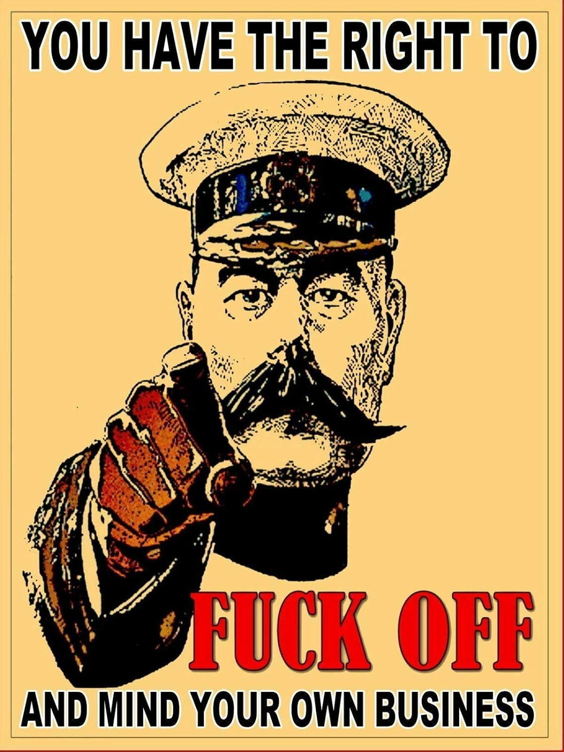 Retro Vintage You Have The Right to Fuck Off Home Bar Pub Kitchen Restaurant Wall Deocr Plaque Signs 8x12inch
