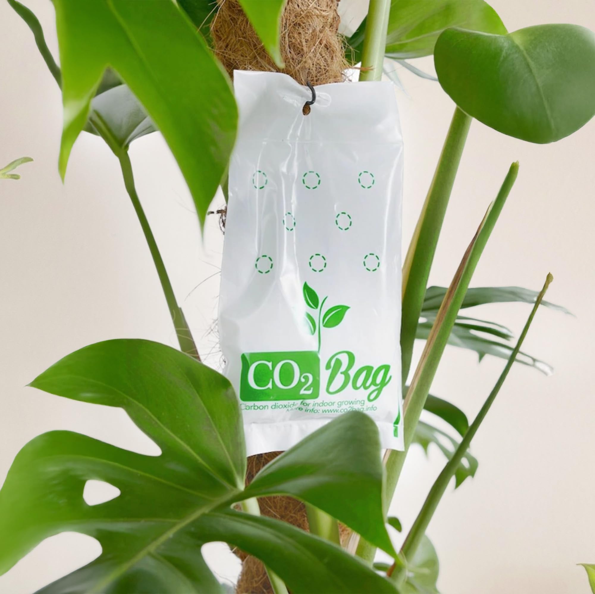 CO2bag Pour une croissance vigoureuse des plantes (lot de 2 - taille M) - Améliore le goût, la couleur et le rendement de la récolte - Compact, sans entretien et sans danger - Pour les serres jusqu'à