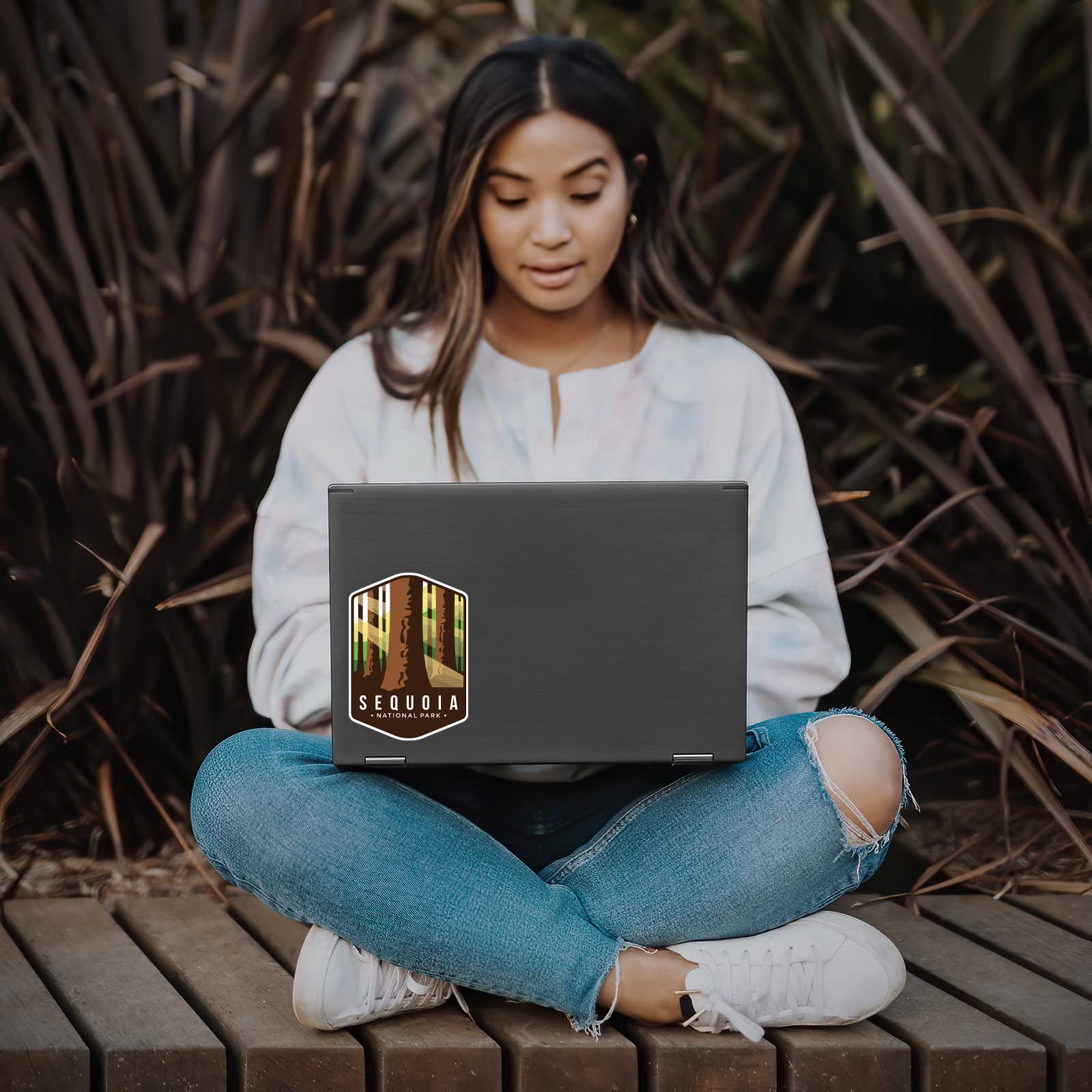 Carta Da Parati Sequoie Giganti Nel Sequoia National Park, California - Foto 3