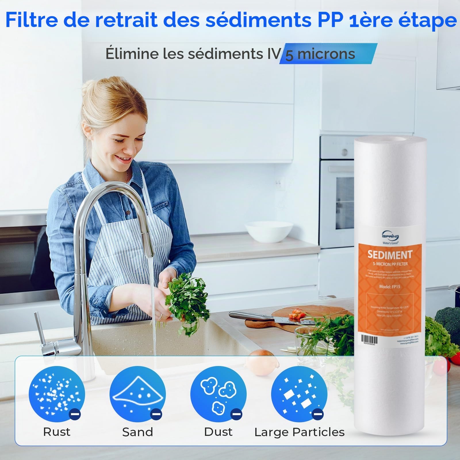 iSpring F9K Lot Cartouches Filtre Osmose Inverse Alcalin 6 Étapes | Jeu de Cartouches pour 1 An, Sans Membrane, Compatible Systèmes RO Alcalins, Filtre Alcalin