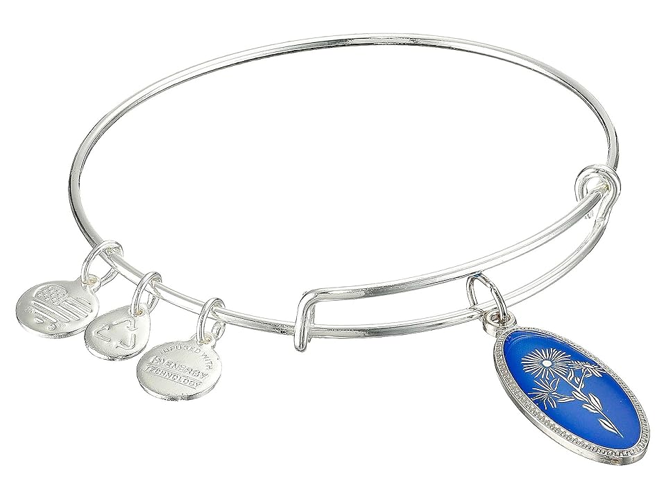 

Alex and Ani Star Of Mystery (Shiny Silver Finish) Bracelet