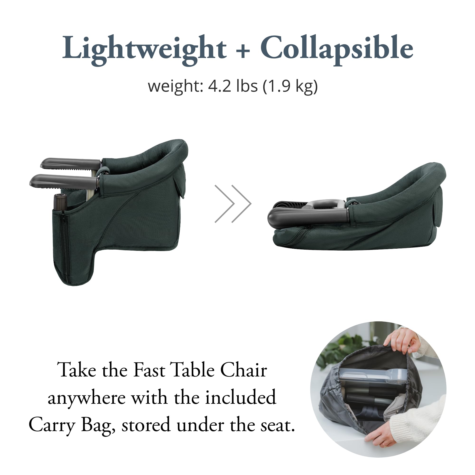 Amazon | Inglesina ファストテーブルチェア - ダークグリーン +