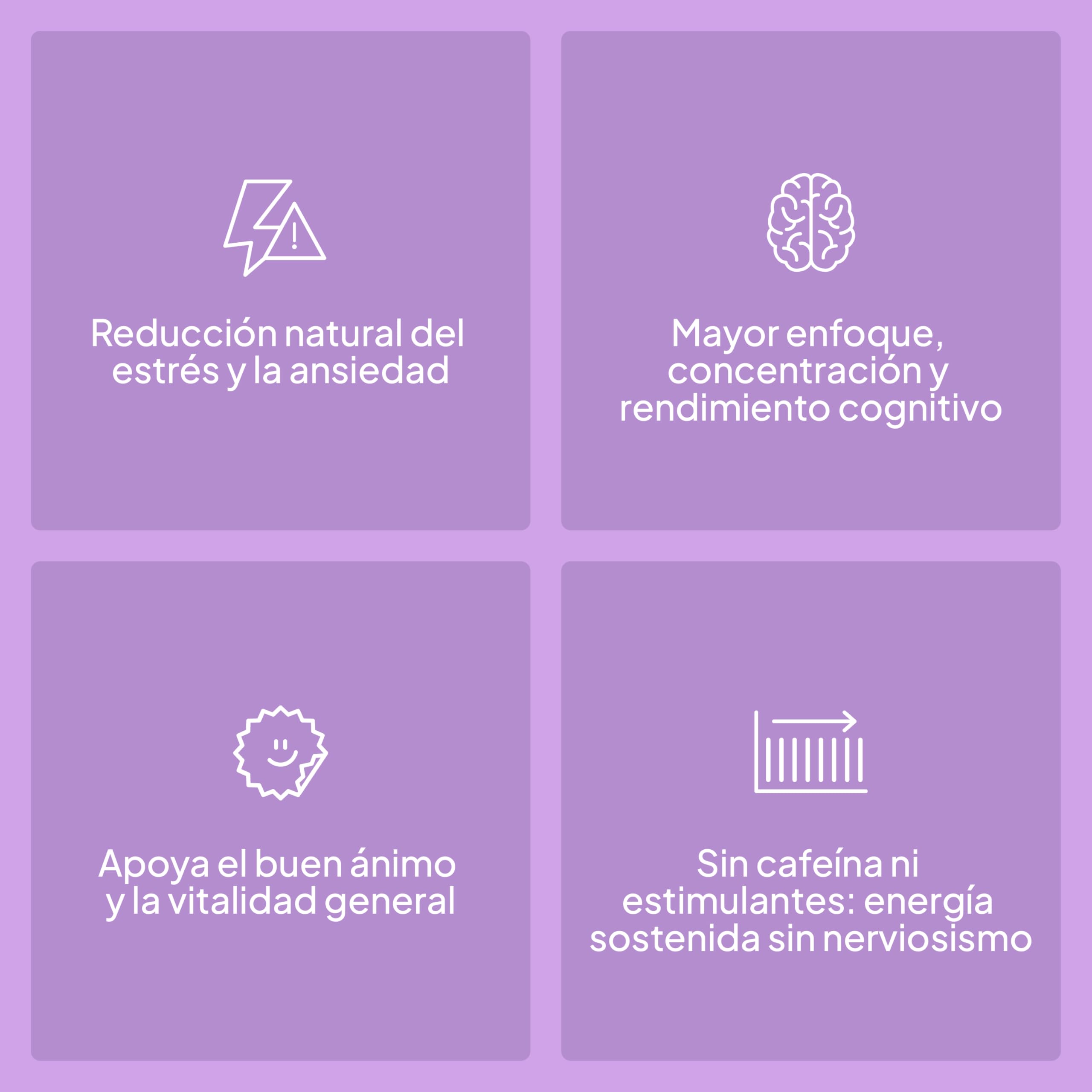 Beverly Ashwagandha KSM-66® Ecológica – 300 mg Extracto Orgánico – 60 Cápsulas Veganas – Adaptógeno Premium – Pureza Garantizada y Testada