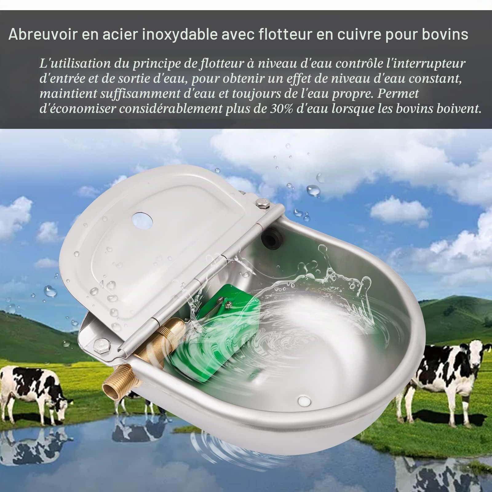 Abreuvoir Automatique pour Chevaux en Acier Inoxydable avec 1/2" Robinet à Flotteur en Laiton, Abreuvoir pour Chiens, Chevaux, Bovins, ChèVres, Alpagas, Porcs