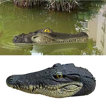 ワニ　置物 61UU-bIhUcL._AC_UL210_SR210,