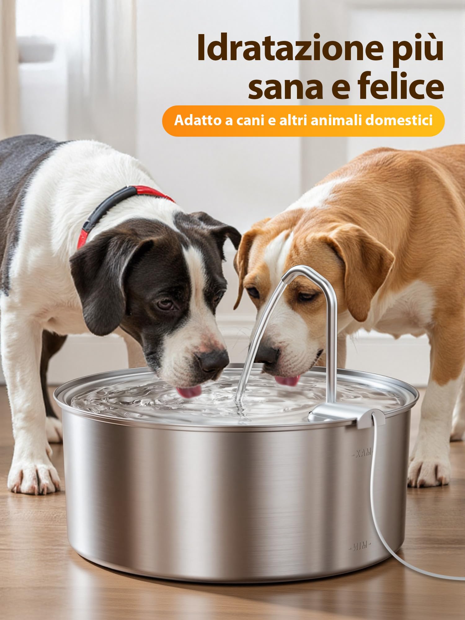 Kittyspout Fontanella per Cani/Gatti, 8L/270 oz di grandi dimensioni, Fontanella per Cani in Acciaio inox con ampia finestra di visualizzazione, Super Silenzioso con Visibile Argento