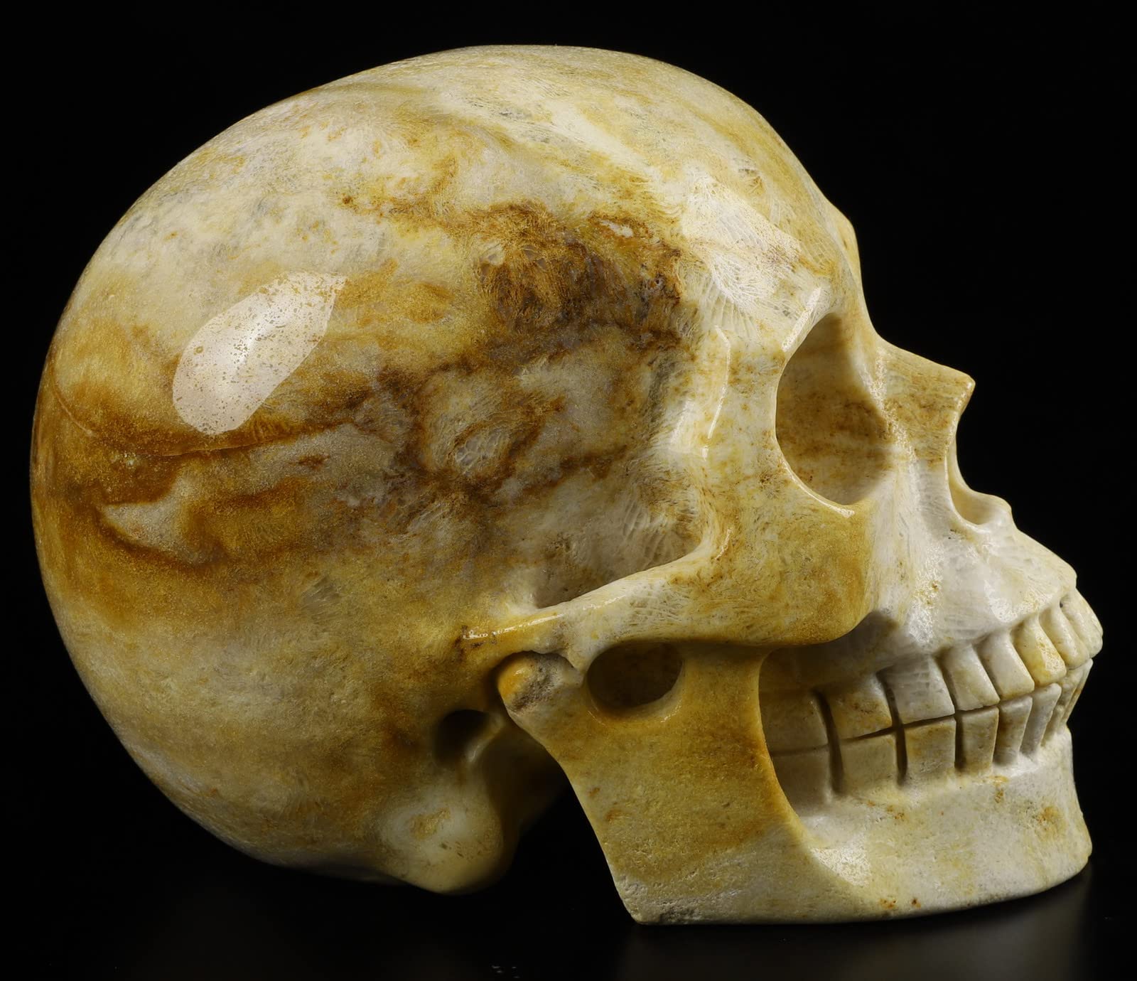 ドクロ　クリスタル　アート 41Yy3bYQ3aL._UF350,350_QL80_.jpg