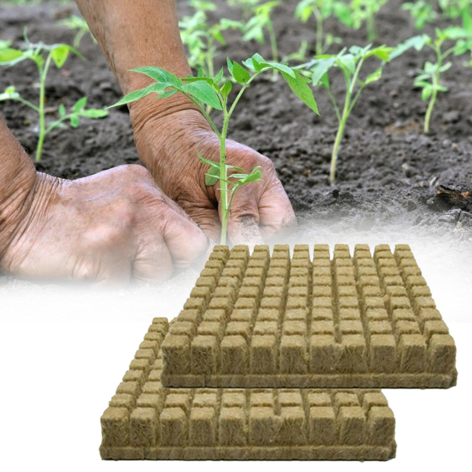 50 Cubi Di Lana Di Roccia Per Idroponica - Per Talee E Semi - Coltura Senza Terreno - Foto 3