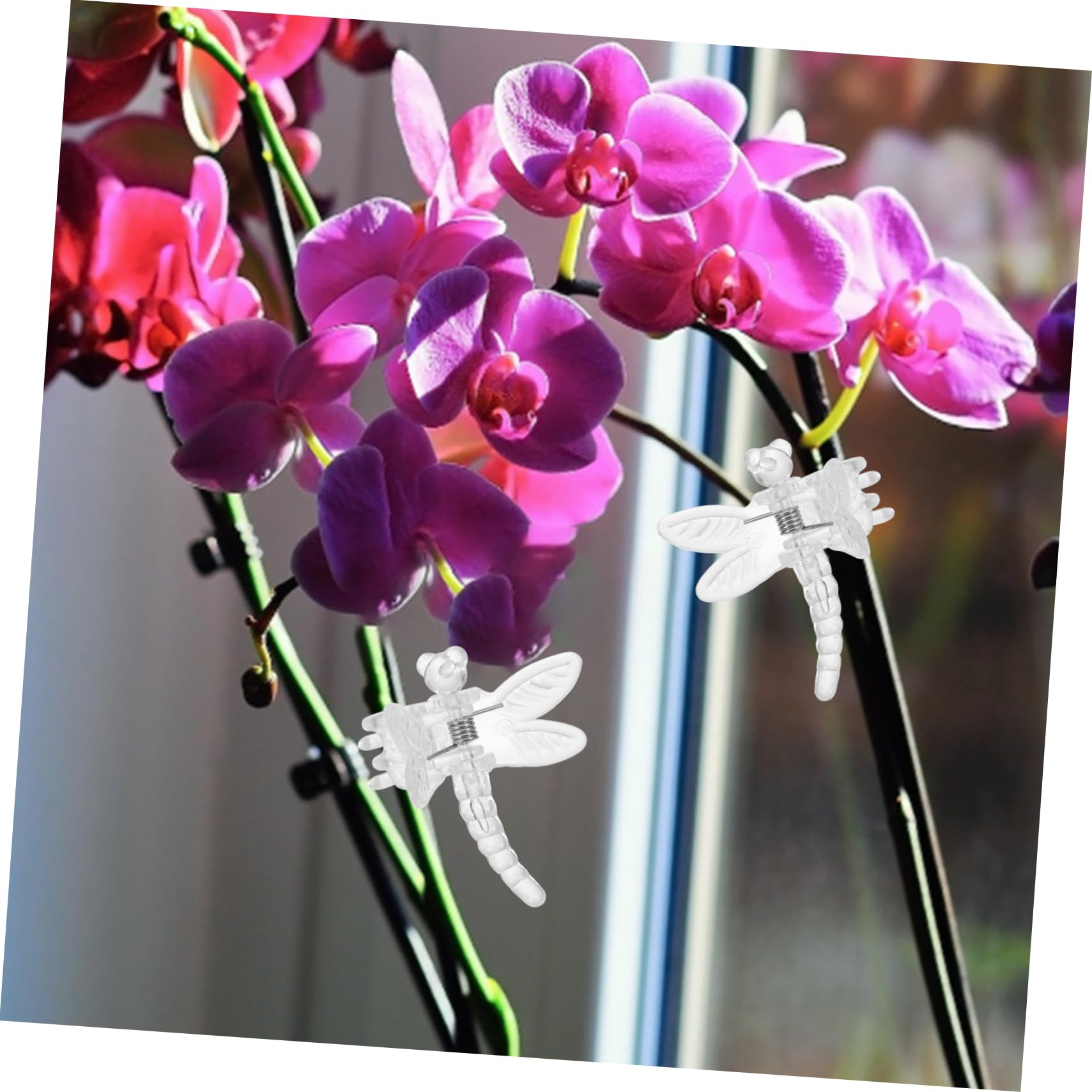 TOYANDONA 5 Sätze Transparente Pflanzenclips Multifunktionale Orchideen Clips Zur Unterstützung Von Pflanzenstängeln Für Weinreben Und Gemüse Gartenwerkzeug Für Sicheres 10 Stück * 5