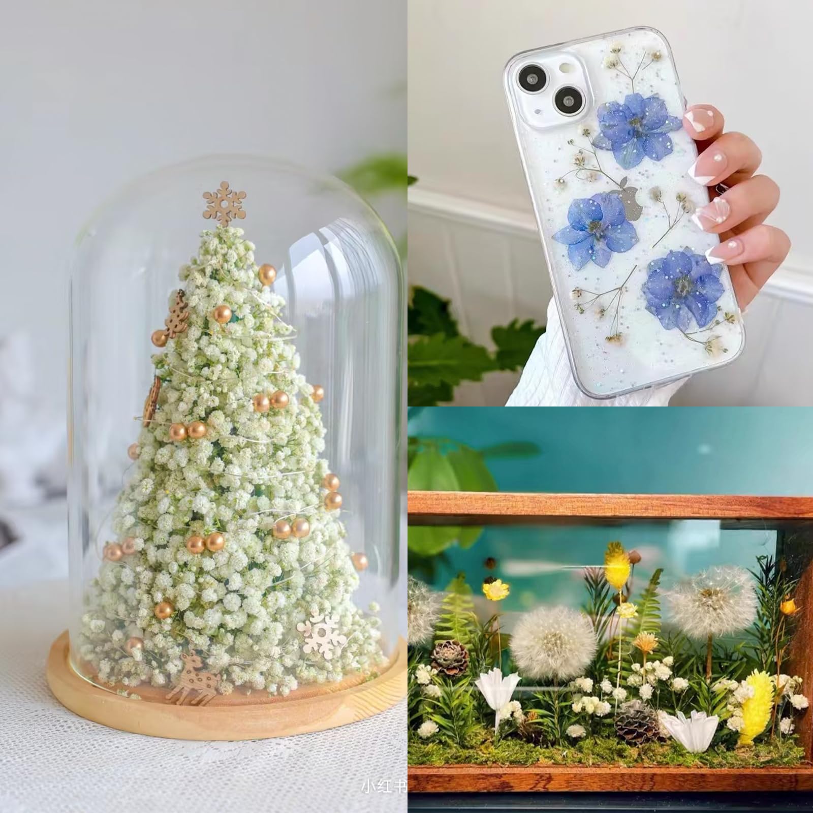 Gypsophila Essiccata Fiori Secchi Decorativi Bianca Naturali 120pcs do Artigianato Fai-da-te