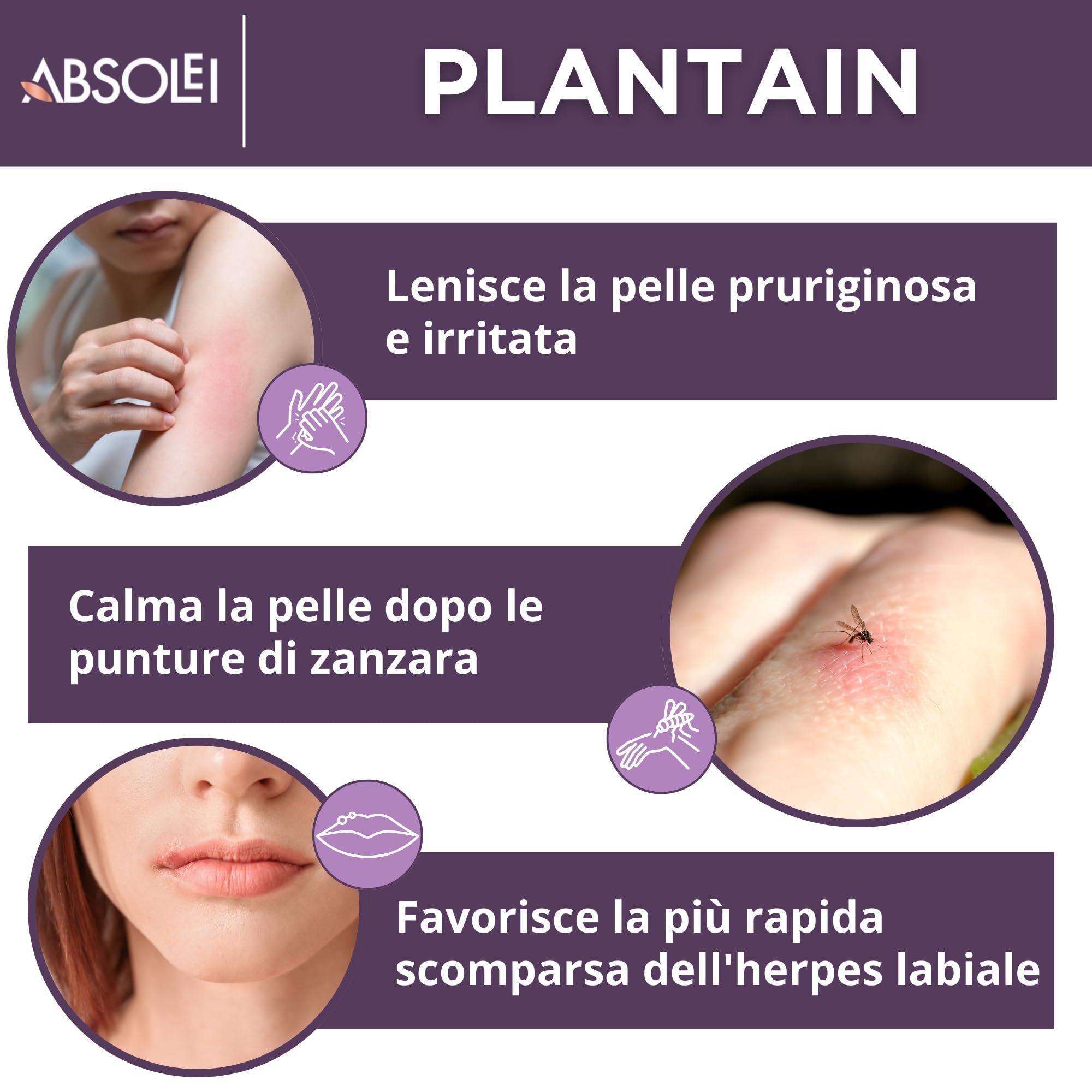 Pomata Piantaggine, Pomata Naturale contro Prurito, Eruzioni Cutanee e Punture di Zanzare, 40 ml