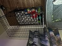 Review Image by Jessica Gonzalez Jessica Gonzalez