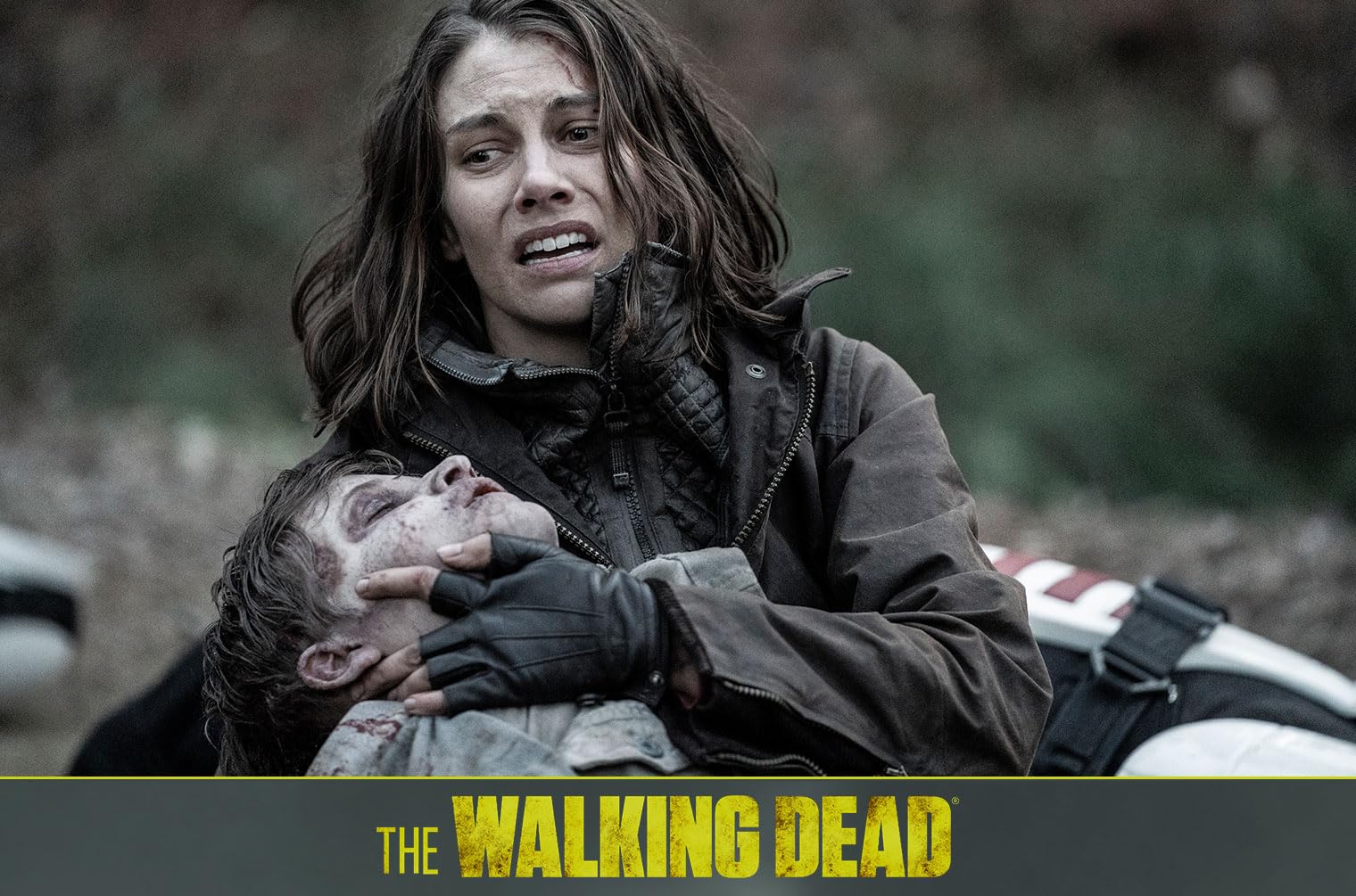 The Walking Dead - Staffel 11