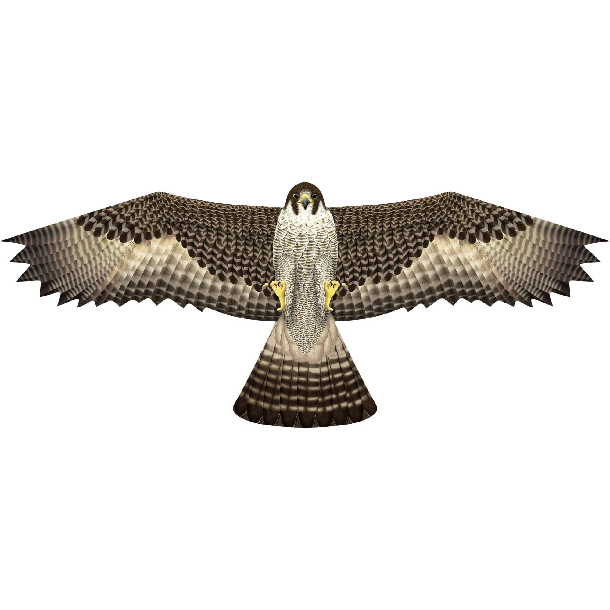 X Kites BirdsofPrey Nylon Bird Kites for Kids and Rodent Repellent Deterent Bird Scarer Kite for Crops