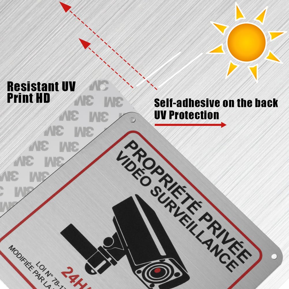 flintronic Señal de seguridad en francés – 2 unidades 15 x 15 cm