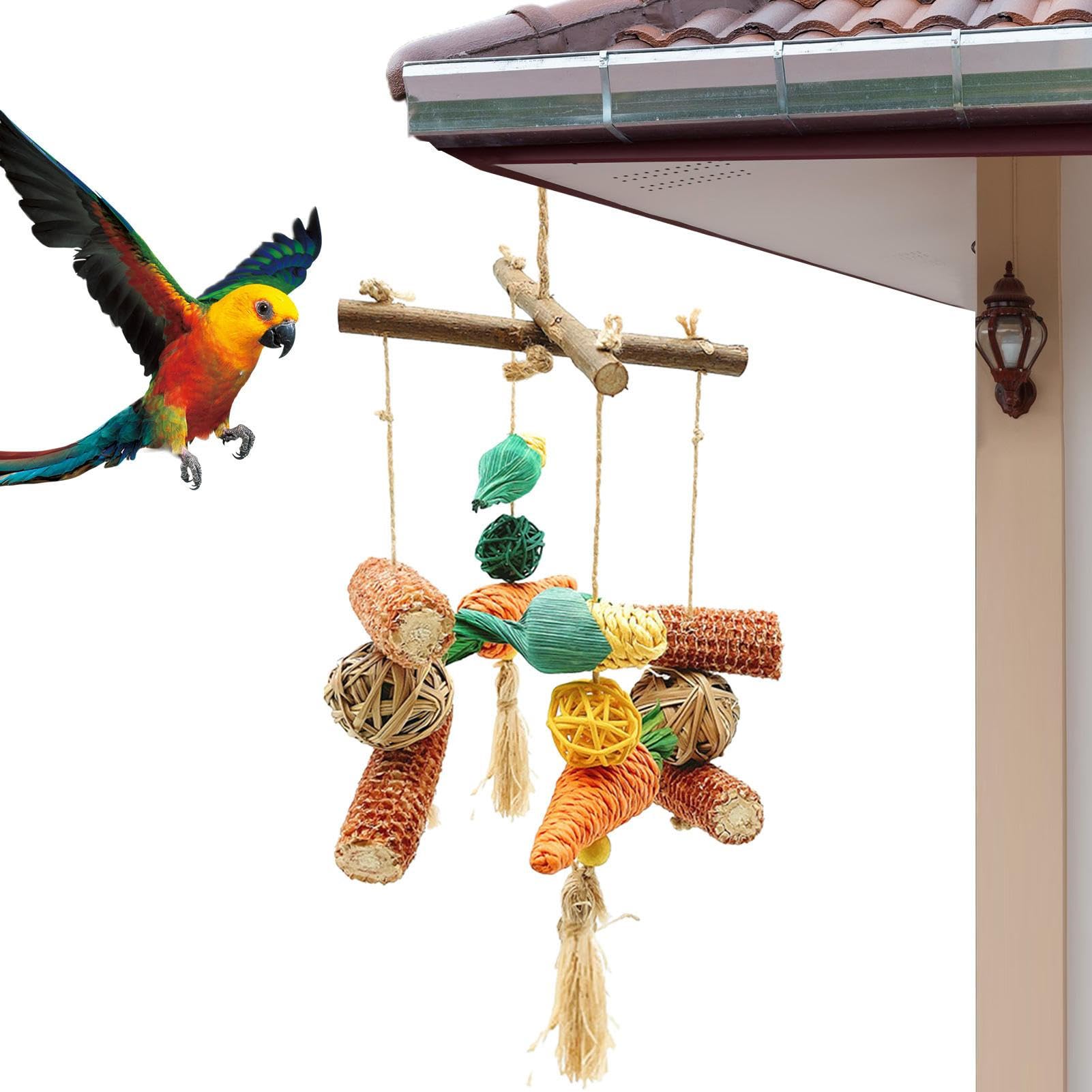 Amazon.co.jp: インコのおもちゃ - 大型オウムのおもちゃ オウムの採餌