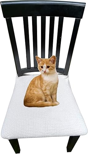 Miniatura 5 de RELIABEST Protector impermeable para silla de comedor, paquete de 2, perfecto para mascotas, niños, ancianos, restaurantes, fiestas, lavable a