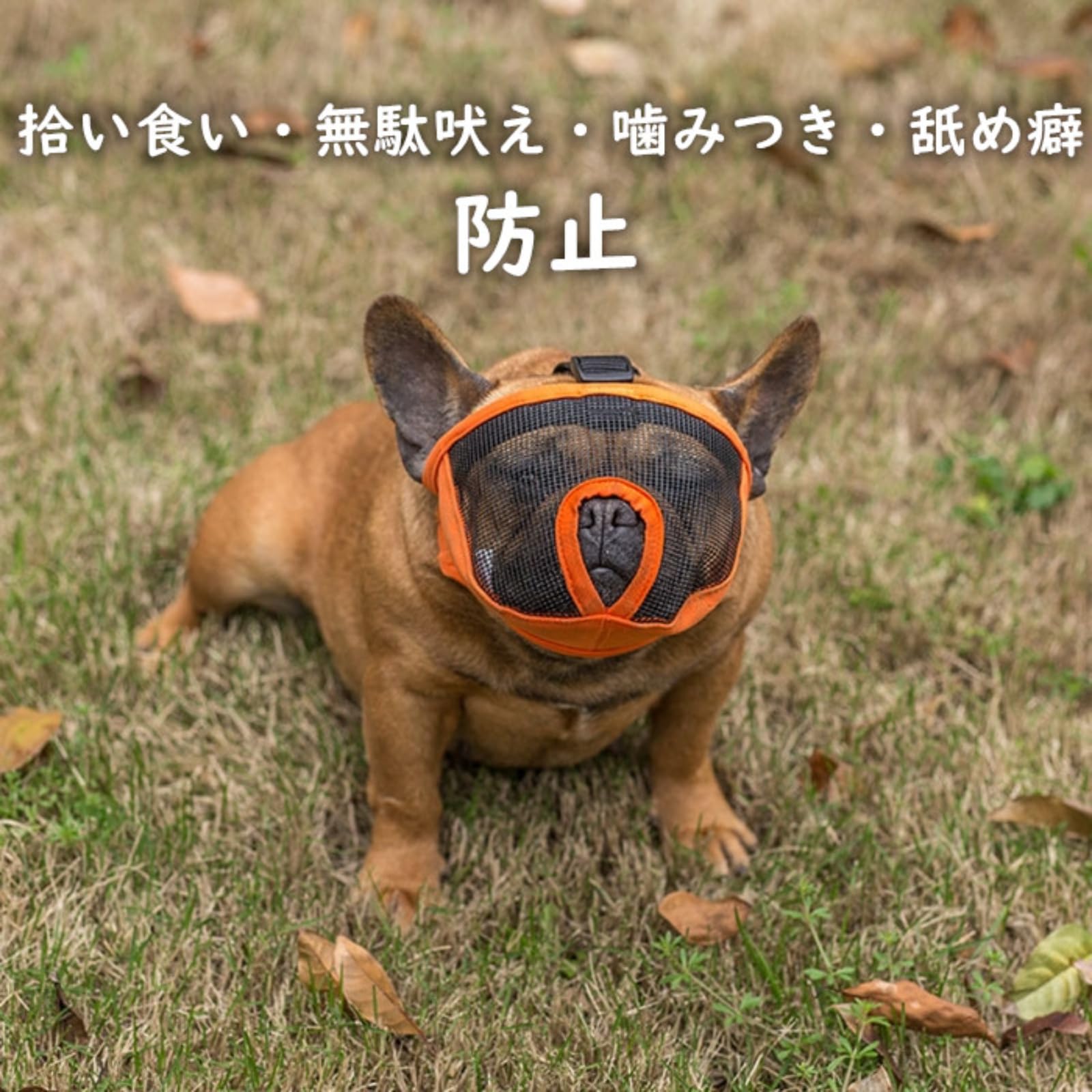 Amazon | [FRENCH FRENCH] フレンチブルドック マスク 口輪 マズル 鼻