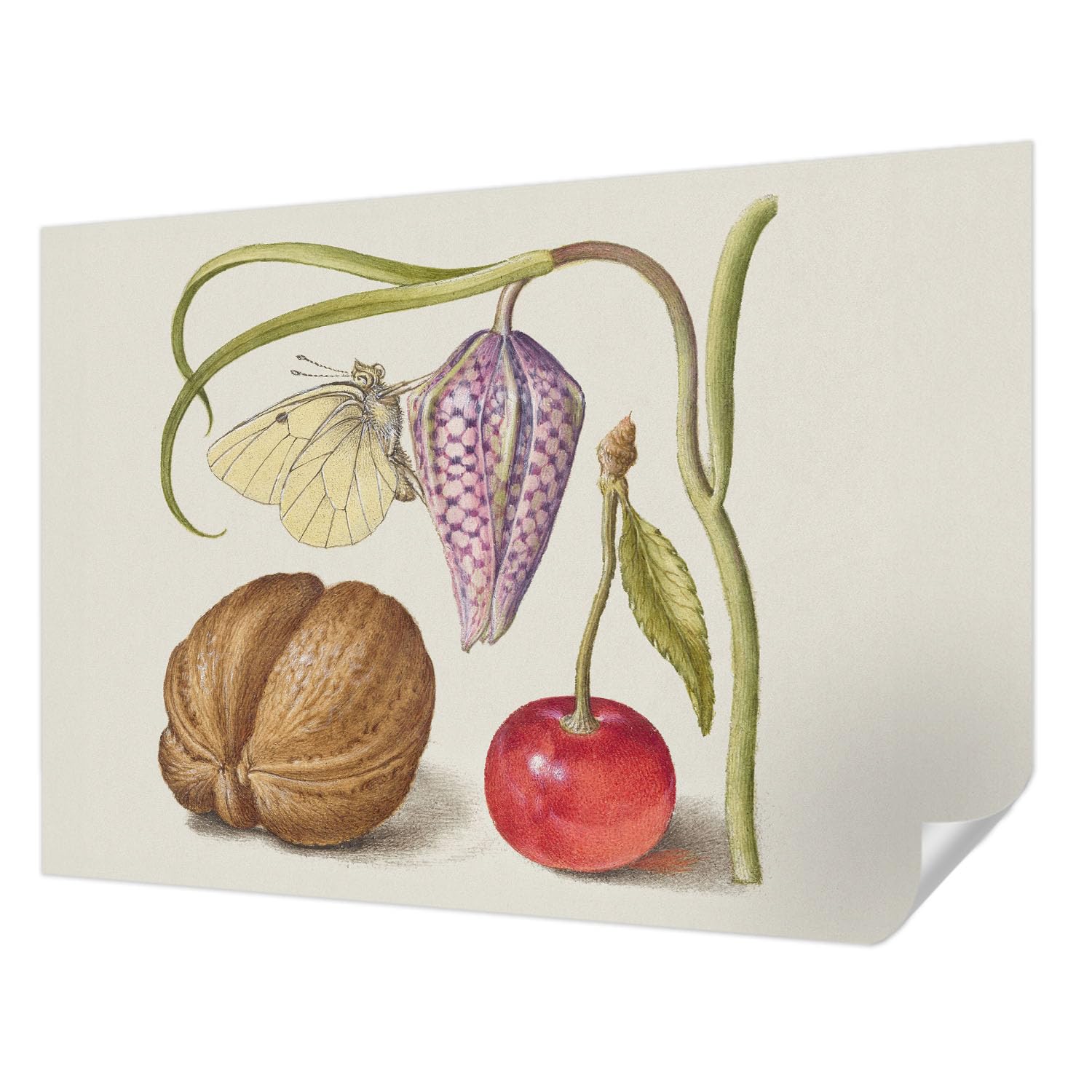 Papier peint auto-adhésif pour chambre et salon motif plante papillon