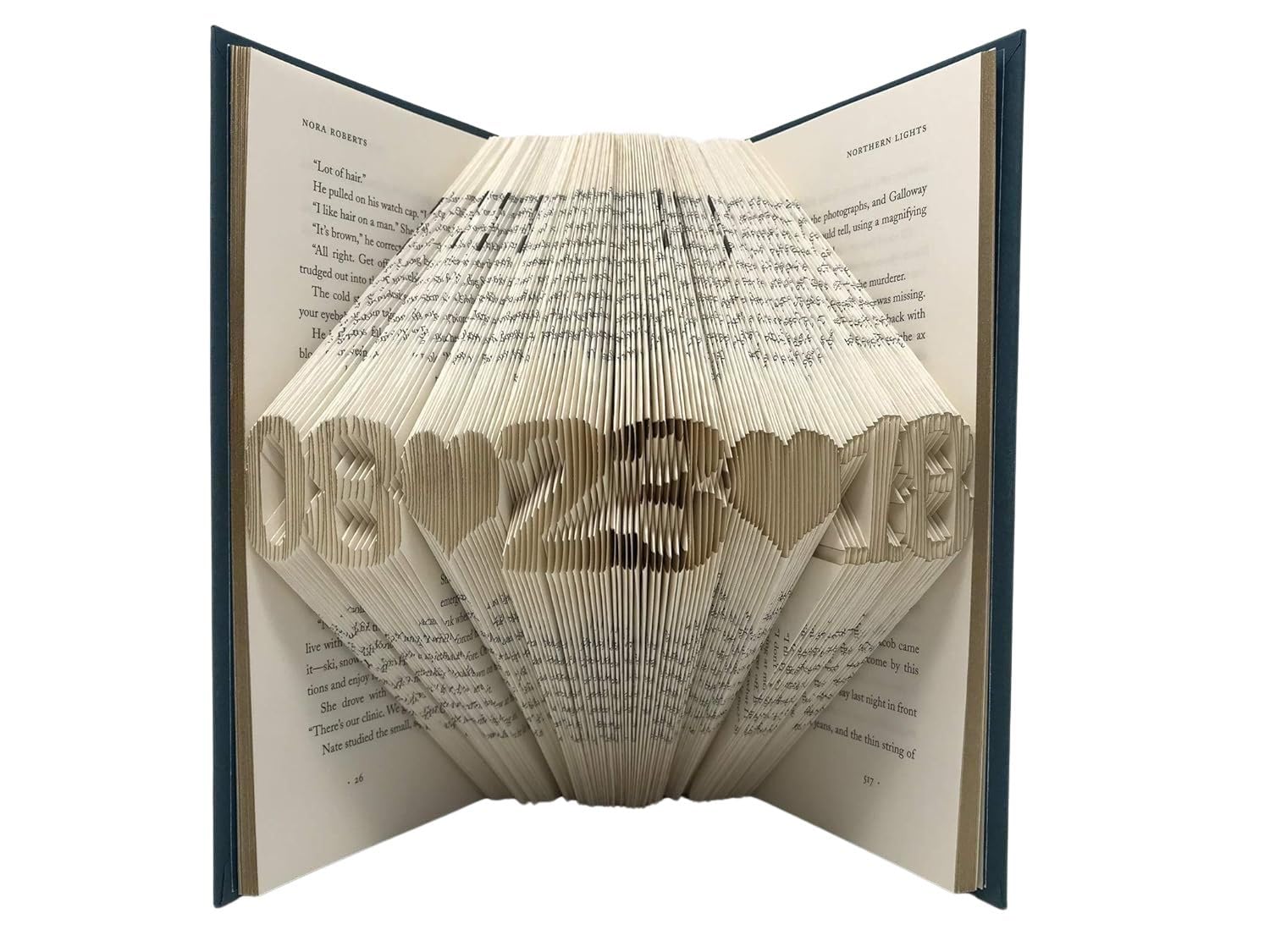 NiCe Folded Book Art