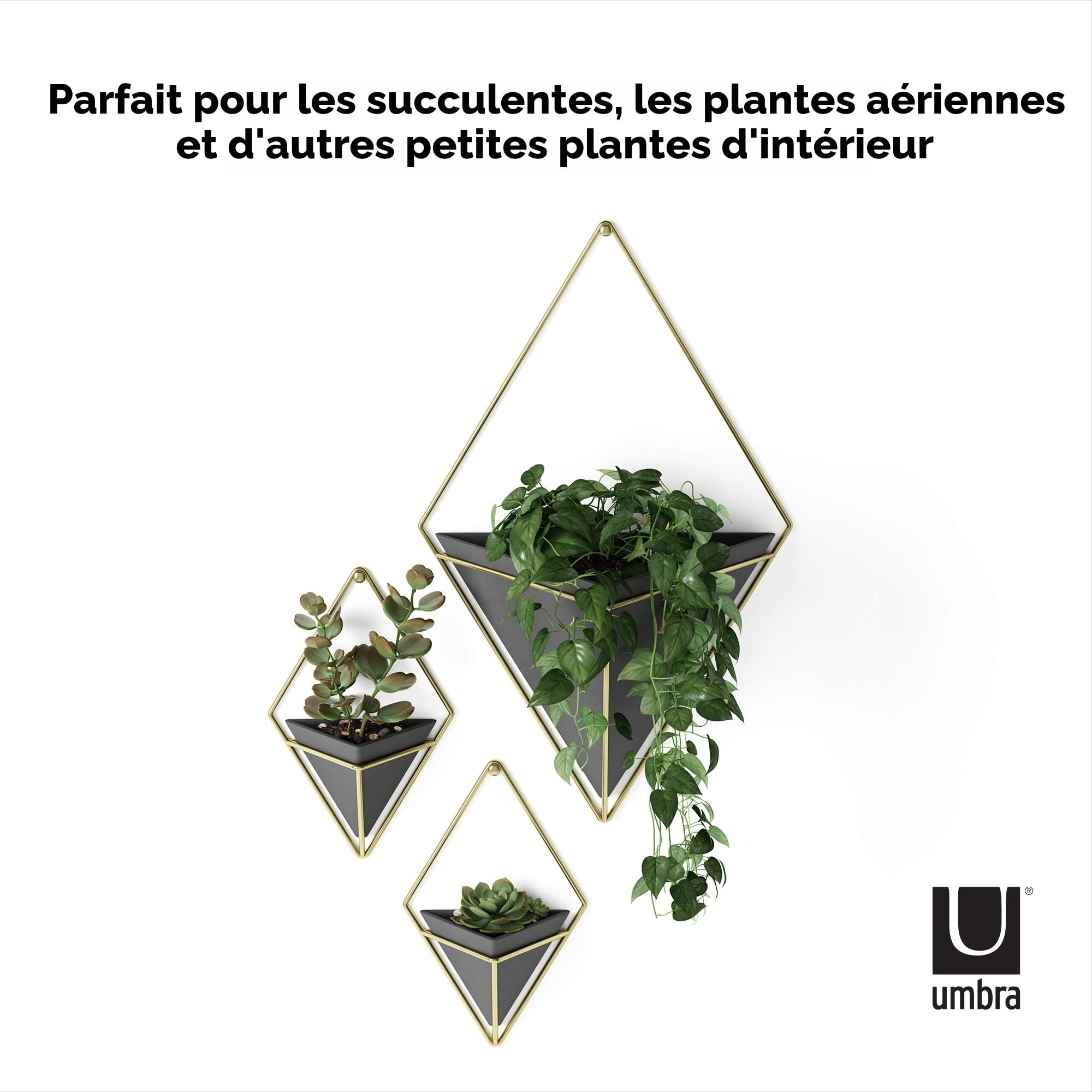 Umbra Trigg Jardinière Suspendue et Décoration Murale Géométrique pour Petite Plante. Plante Succulente et Bien Plus Encore. Noir/Laiton. Grand