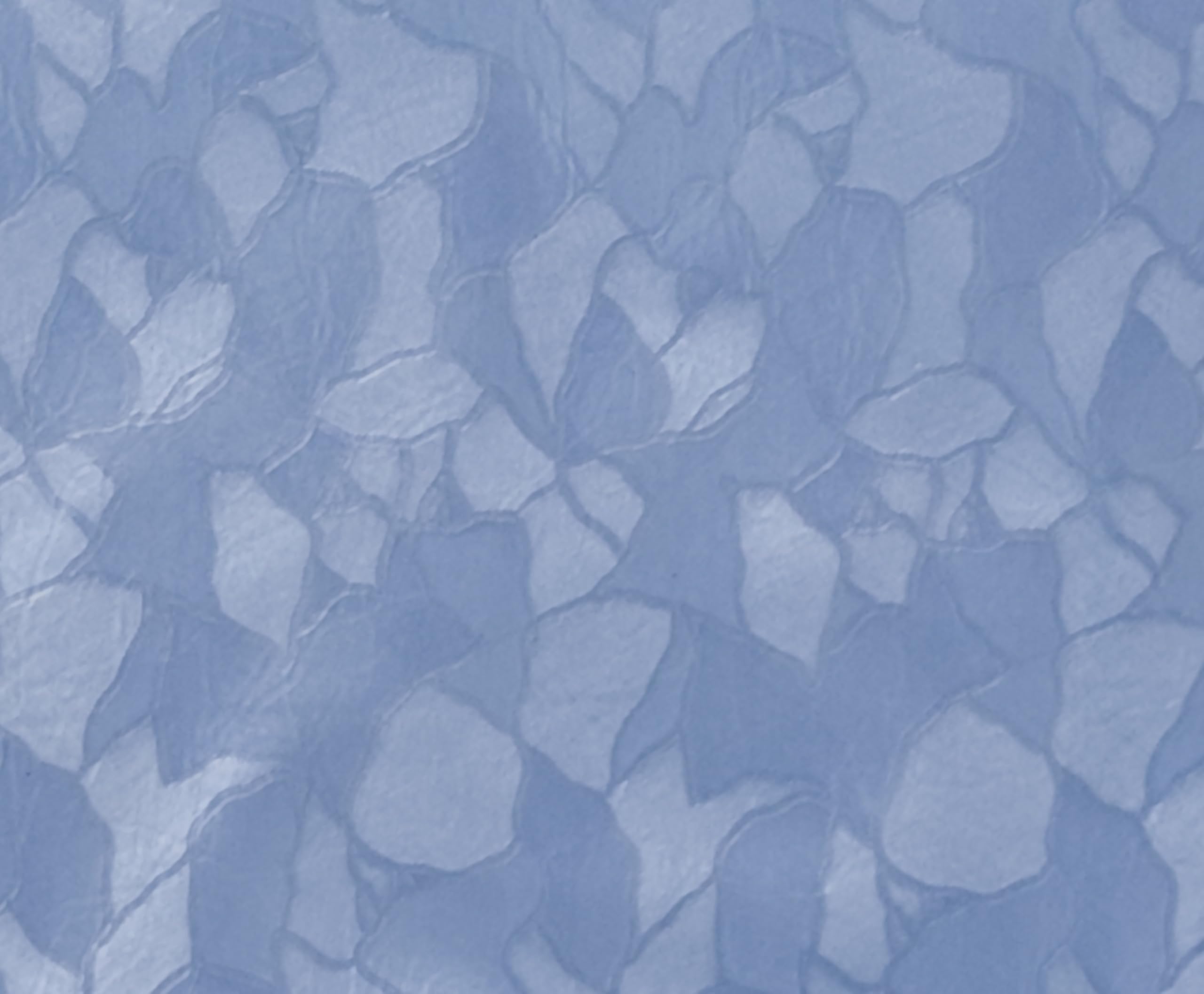 De'Carpet Cortina Plástico Galería con Anillas (Azul, 200x250cm)