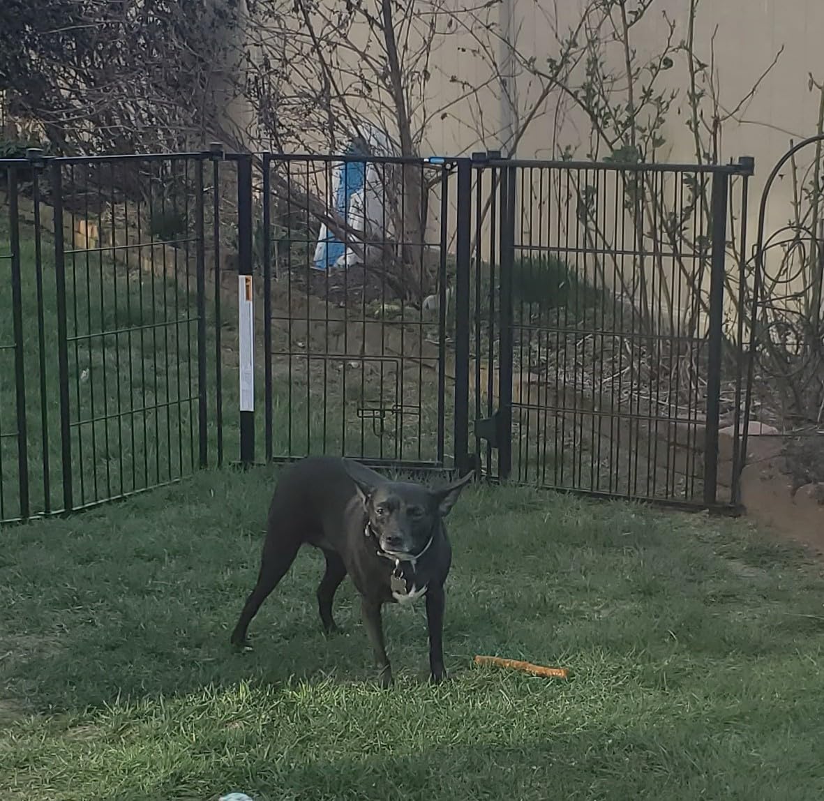 18/mo Finance Carlson Pet Products Outdoor Super Wide Pet Pen and