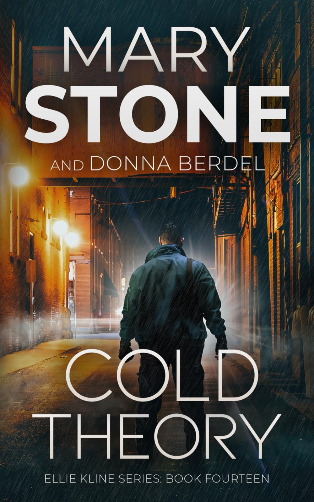 Cold Theory (Ellie Kline Mystery Series)