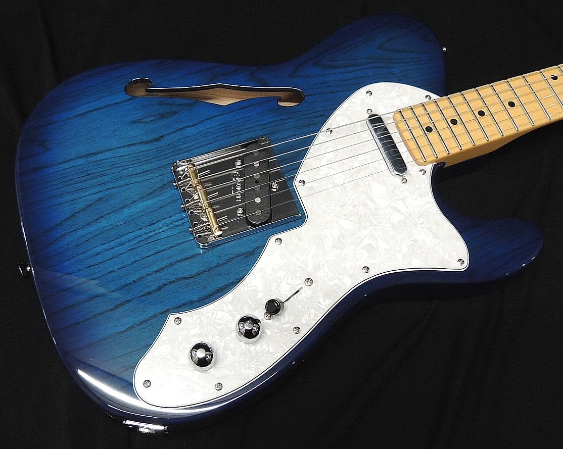 Amazon | FGN FUJIGEN NTE100MAHT SBB フジゲン Neo Classic