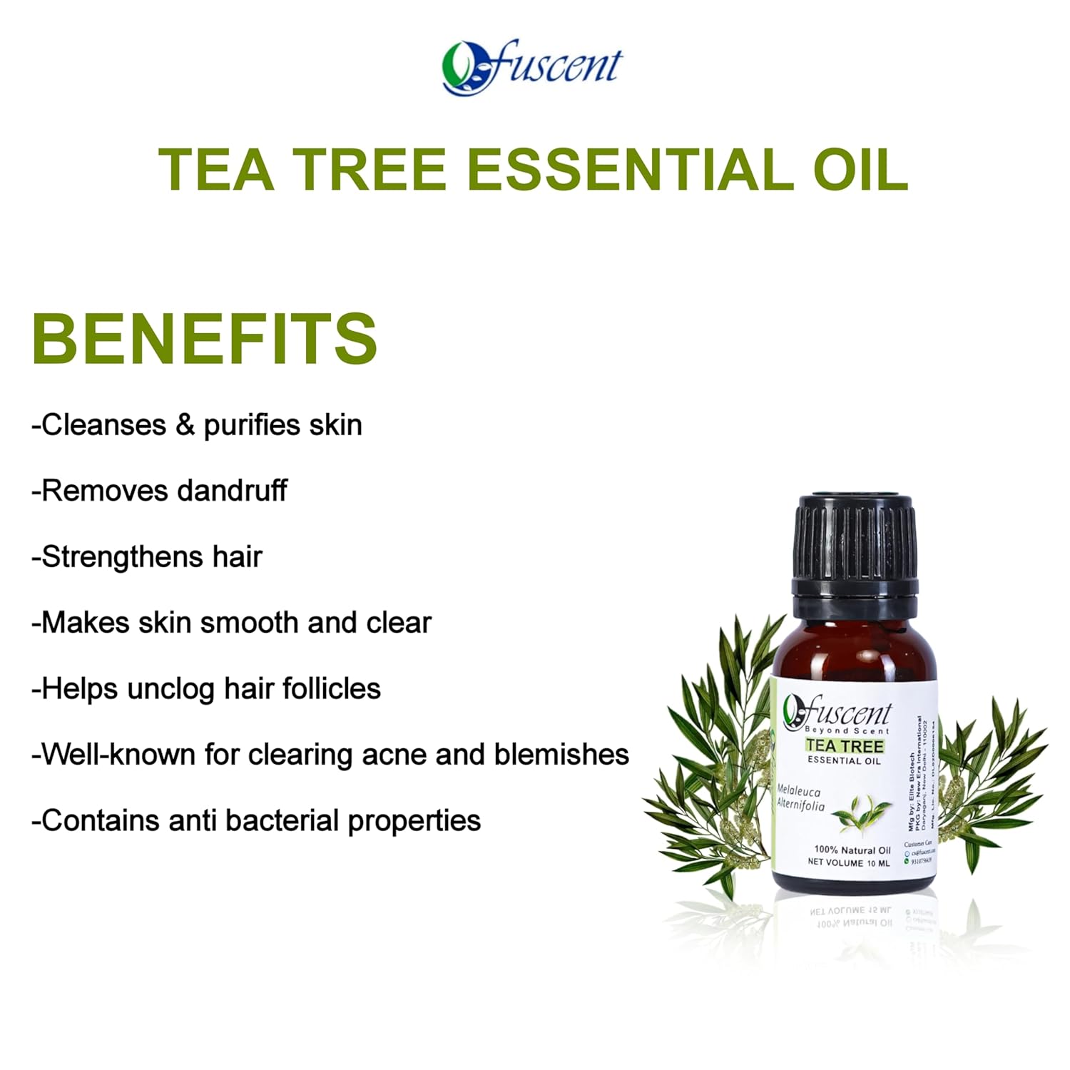 Premium Essential Oil Combo Pack of 2 Tea Tree And Rose Oil for healthy Hair And Skin | Home fragrance & Soap Making, relaxation | Certified Organic 100% Pure Fresh And Undiluted | Natural Essential oil Combo Pure And Natural Undiluted (10Ml + 10ML) Premium Essential Oil Combo Pack of 2 Tea Tree And Rose Oil for healthy Hair And Skin | Home fragrance & Soap Making, relaxation | Certified Organic 100% Pure Fresh And Undiluted | Natural Essential oil Combo Pure And Natural Undiluted (10Ml + 10ML)