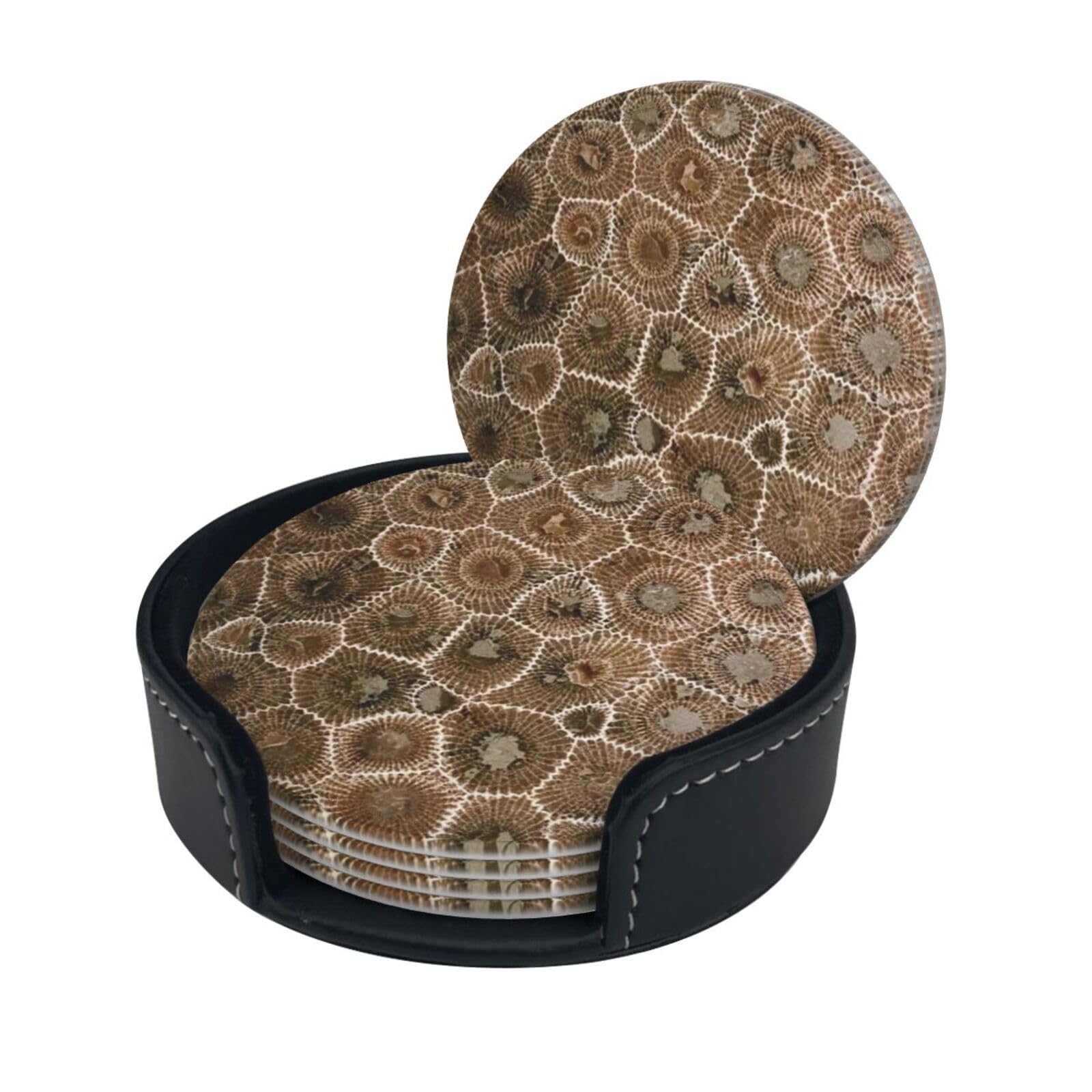 Petoskey Stone Drink Coasters Set of 6 with Holder Decorative Round Cup Coasters for Coffee Table Kitchen Office Bar