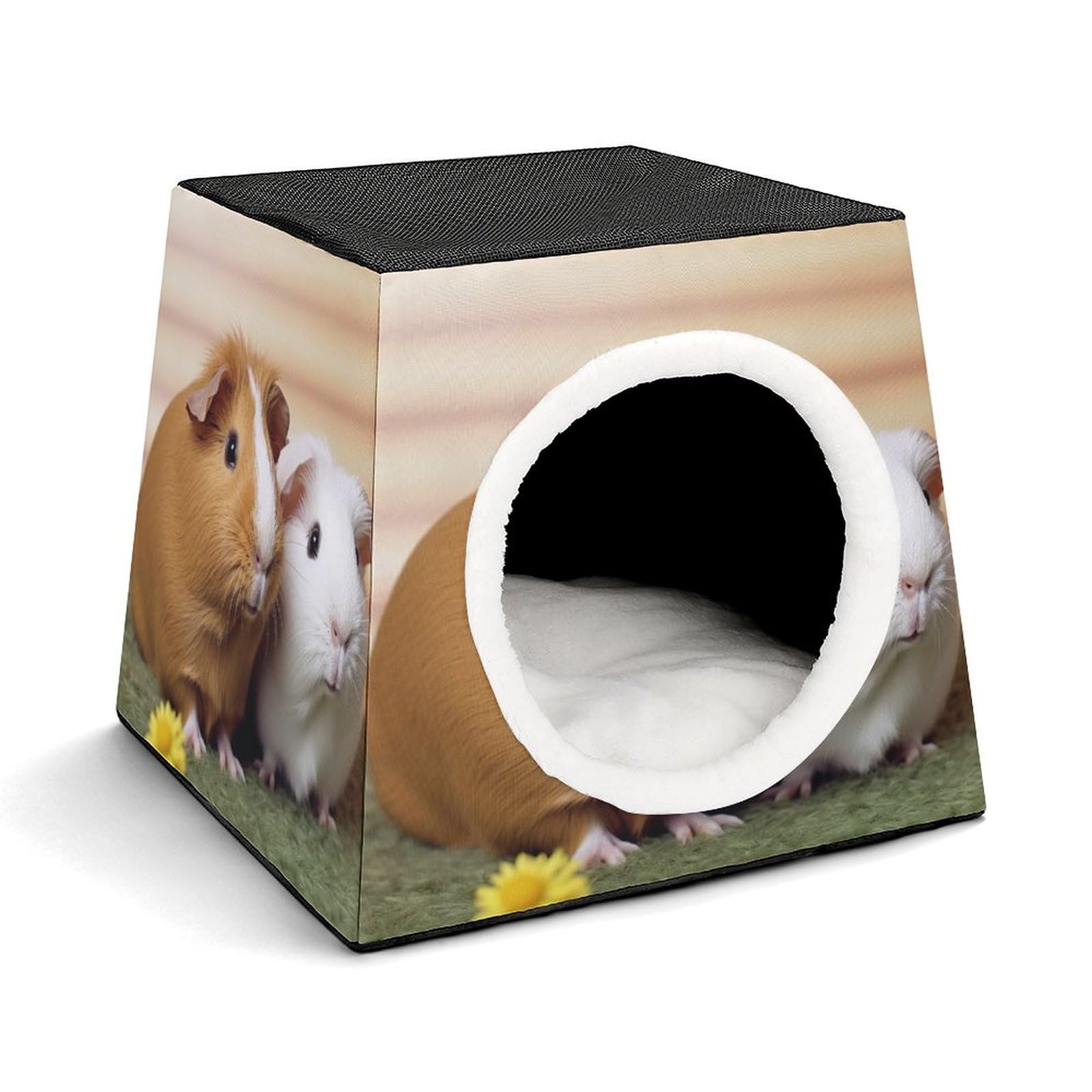 Chat d'intérieur stressé ? Offrez-lui cette maison pour animaux domestiques protectrice