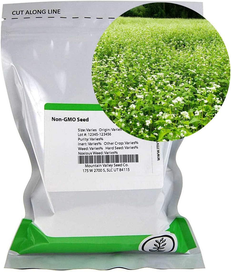 Buckwheat Seeds 25 Lb Bulk 300,000 Seeds Organic, NonGMO, Whole (Shell On