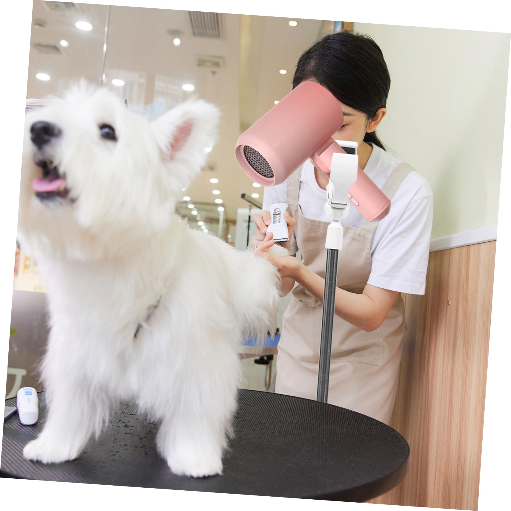 Amazon.co.jp: Dulcicasa ペット用ヘアドライヤースタンド 調整可能