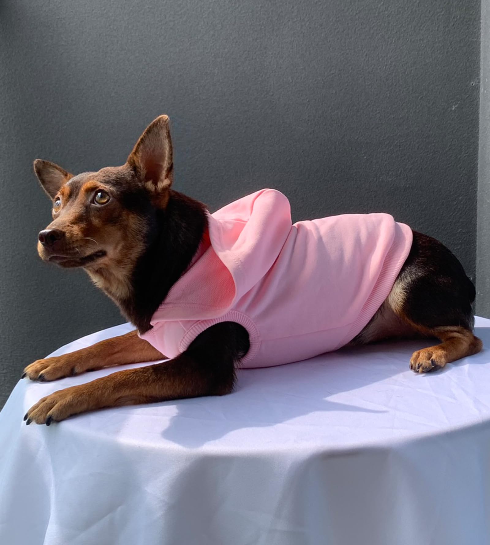 YQYS Hunde-Kapuzenpullover ärmellos – Aus Baumwolle, Für Kleine Hunde & Katzen, Größe L (5–6,8 Kg)